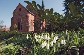 Gottesdienst an der Lourdesgrotte Die protestantische Pfarrkirche von Dernbach, aufgenommen im Frühling, mit Schneeglöckchen im Vordergrund